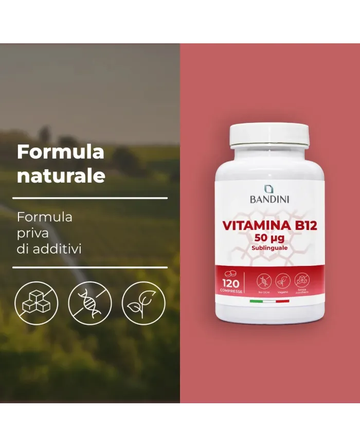 Vitamina B12 sublinguale - 120 compresse